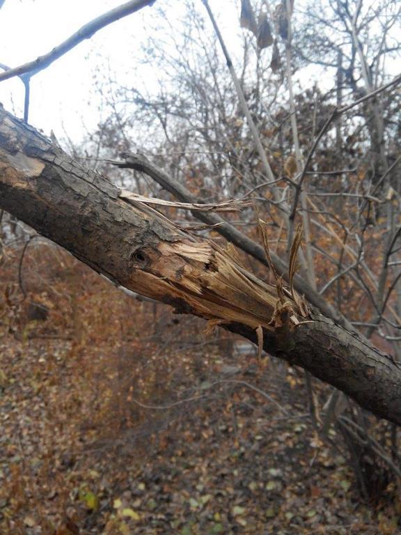 Появились новые фото из поселка Пески на Донетчине: заброшенные дома и сгоревшая дотла техника