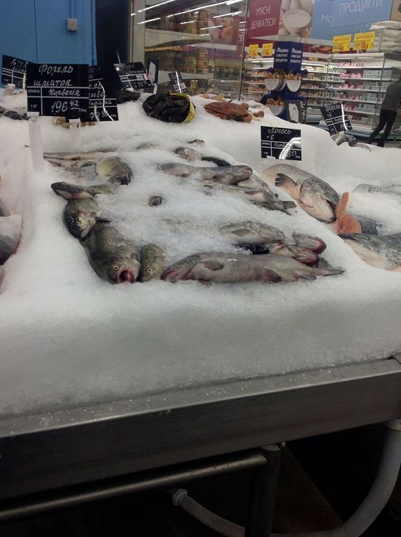 Киевлянка обнаружила в рыбе из супермаркета ужасный сюрприз