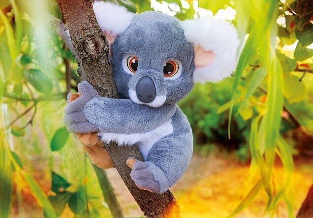 Эмоциональная коала обматерила трехлетнюю девочку