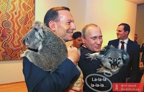 В сети высмеяли объятия Путина с коалой