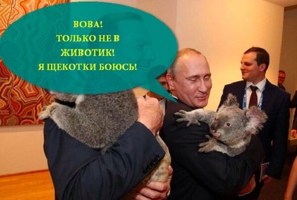 В сети высмеяли объятия Путина с коалой