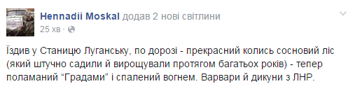 Москаль показав звірства терористів "ЛНР": опубліковано фото