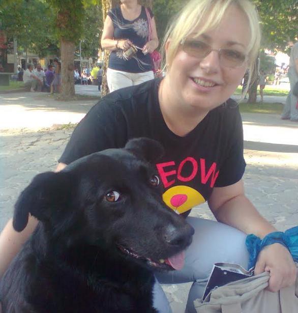 У Києві невідомі масово потруїли безпритульних собак