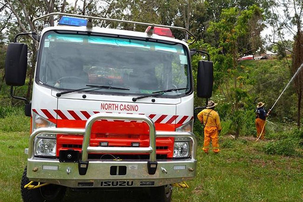 В Австралии массово гибнут летучие мыши: улицы завалены трупами животных