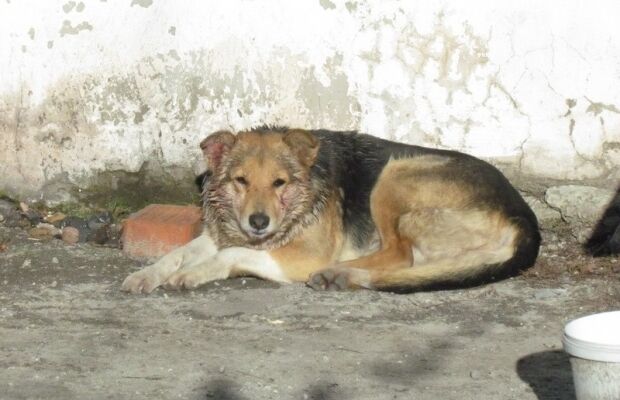 Теракт в Мариуполе повредил пять домов: опубликованы фото и видео