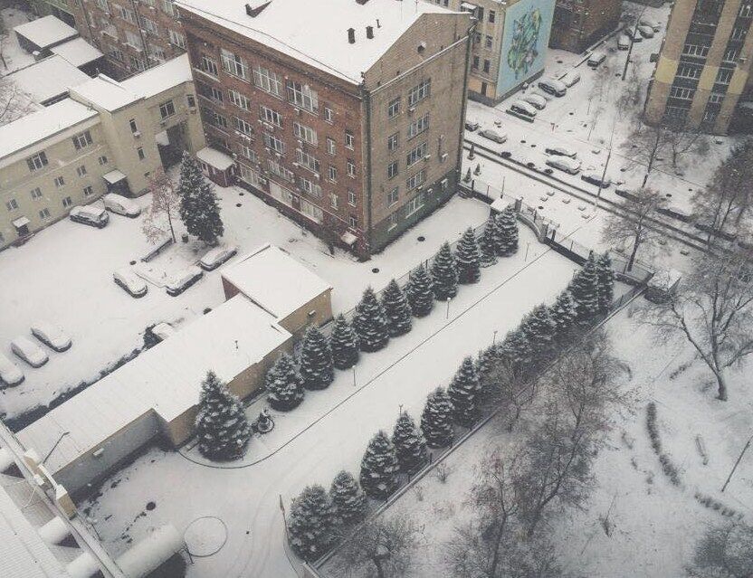 В Киеве выпал первый снег: опубликованы чарующие фото