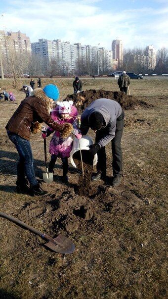 На месте скандальной стройки на Осокорках киевляне высадили деревья 
