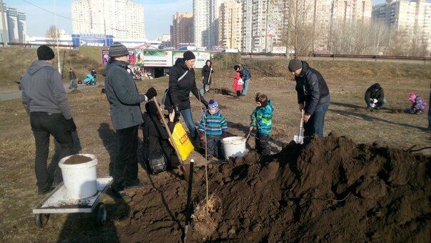 На месте скандальной стройки на Осокорках киевляне высадили деревья 