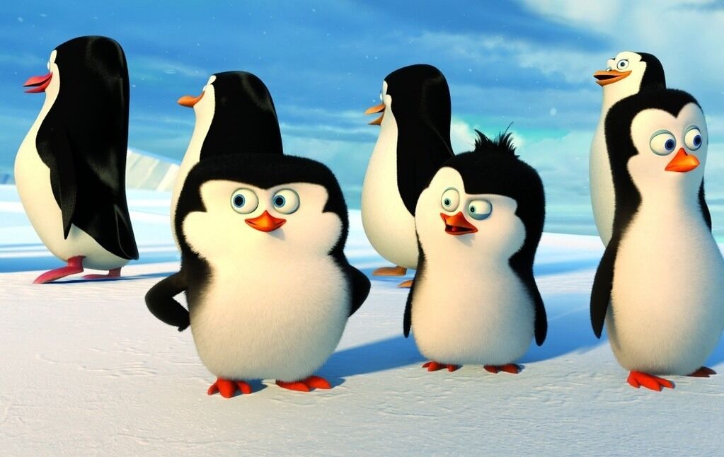 Пингвины Мадагаскара