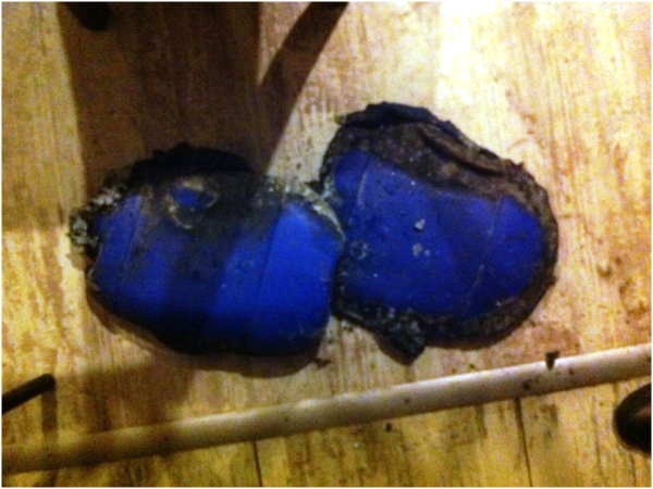 В Киеве неизвестные подожгли ночью кафе