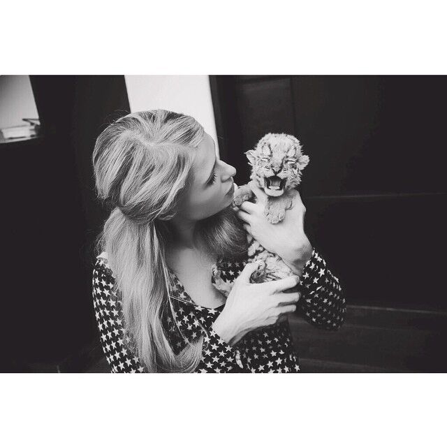 Пэрис Хилтон устроила фотосессию с тиграми и львами