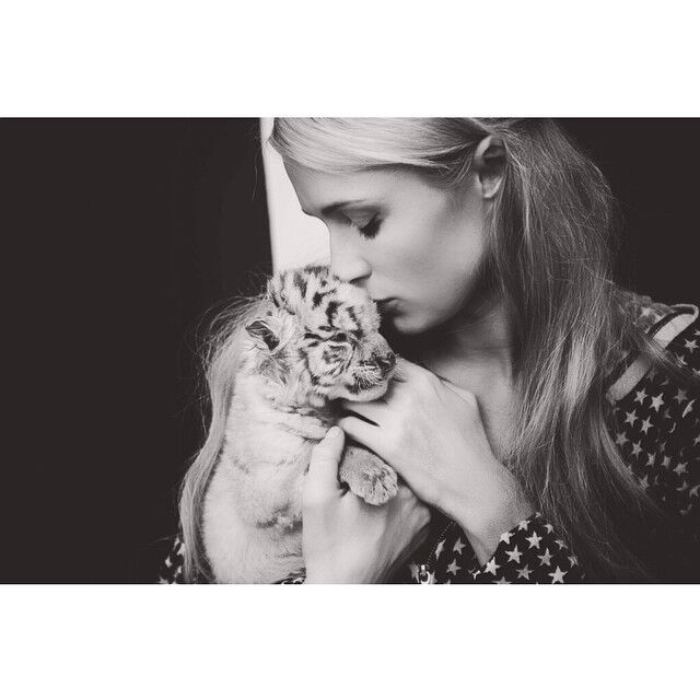 Пэрис Хилтон устроила фотосессию с тиграми и львами