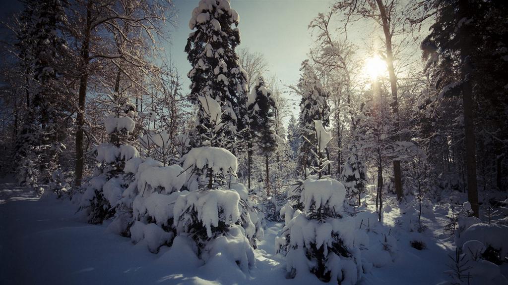 Почему летний день длиннее зимнего