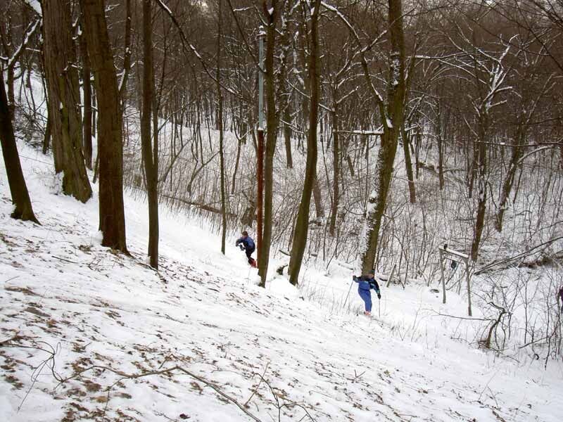 Голосіївський парк ім.  Рильського ідеально підходить для катання на санках і лижах.  Фото cultkiev.com