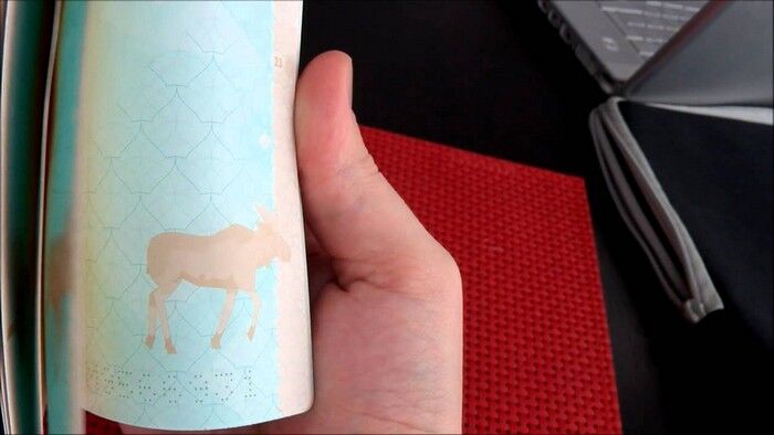 5 самых стильных и красивых паспортов в мире 