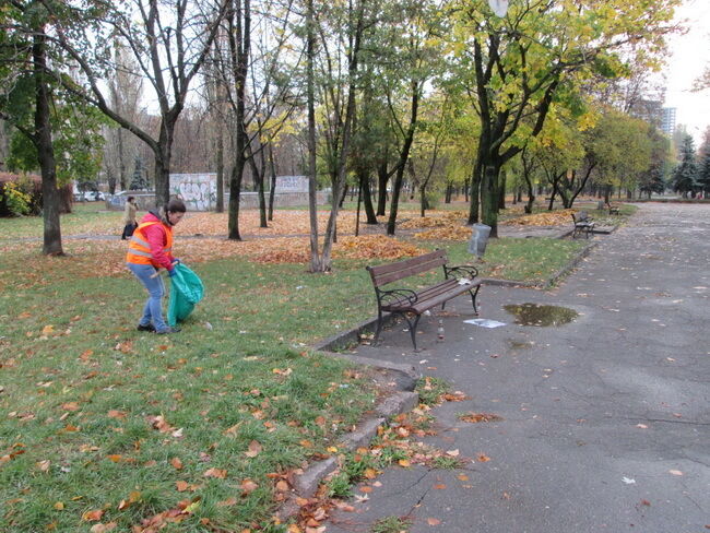 У київських парках крадуть троянди і лавочки