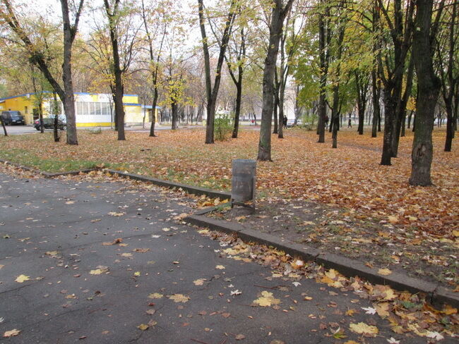 В киевских парках крадут розы и лавочки