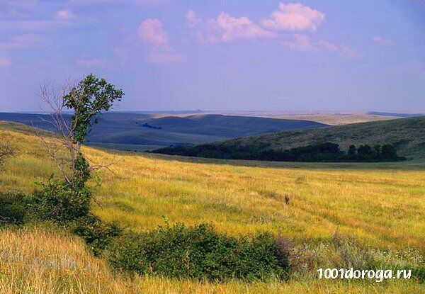 5 невероятно красивых заповедных мест Донбасса, которые погубила война