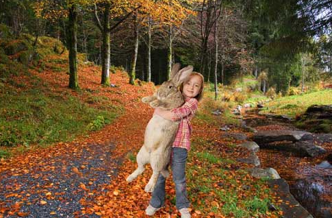 Фотографии животных с лишним весом