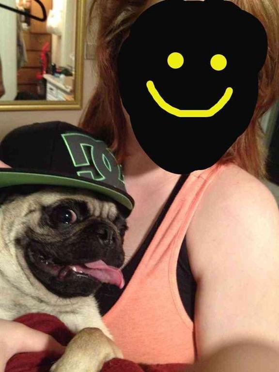 29 самых популярных селфи собак, которые потрясли весь мир