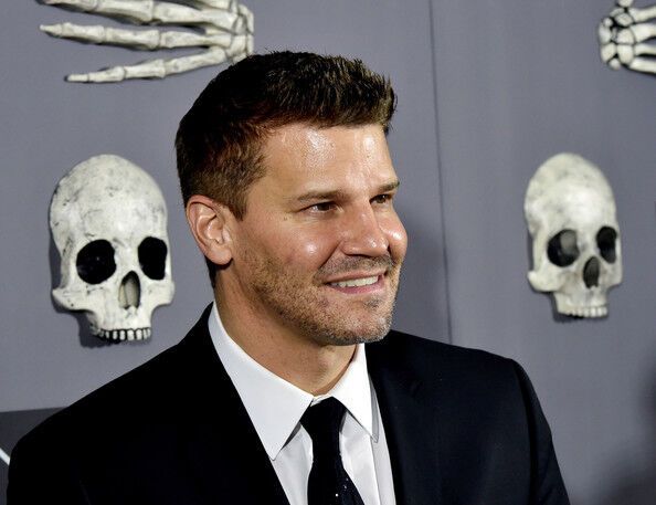 У сериала "Кости" юбилей: вышел 200-й эпизод