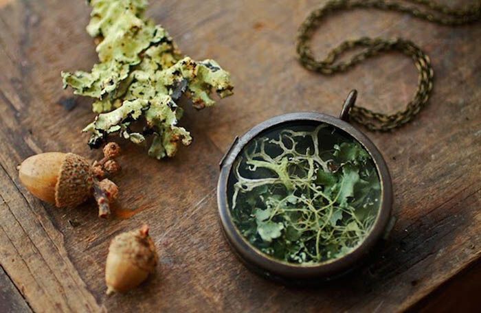 Нежные украшения, в которых заключена частичка природы