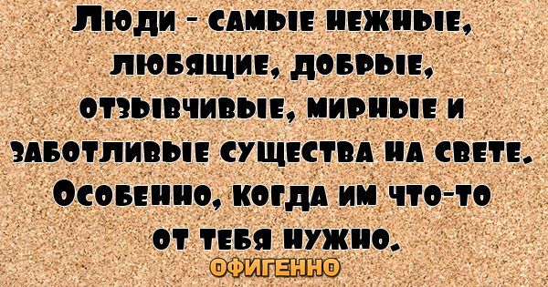 27 веселых цитат для поднятия настроения на весь день