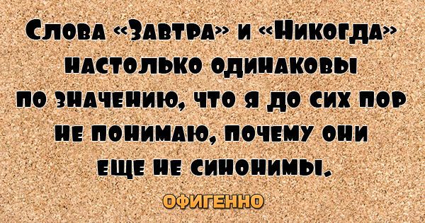 27 веселых цитат для поднятия настроения на весь день