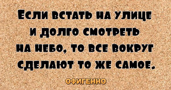 27 веселых цитат для поднятия настроения на весь день