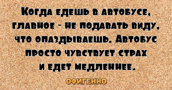 27 веселых цитат для поднятия настроения на весь день