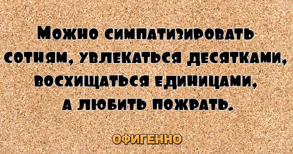 27 веселых цитат для поднятия настроения на весь день