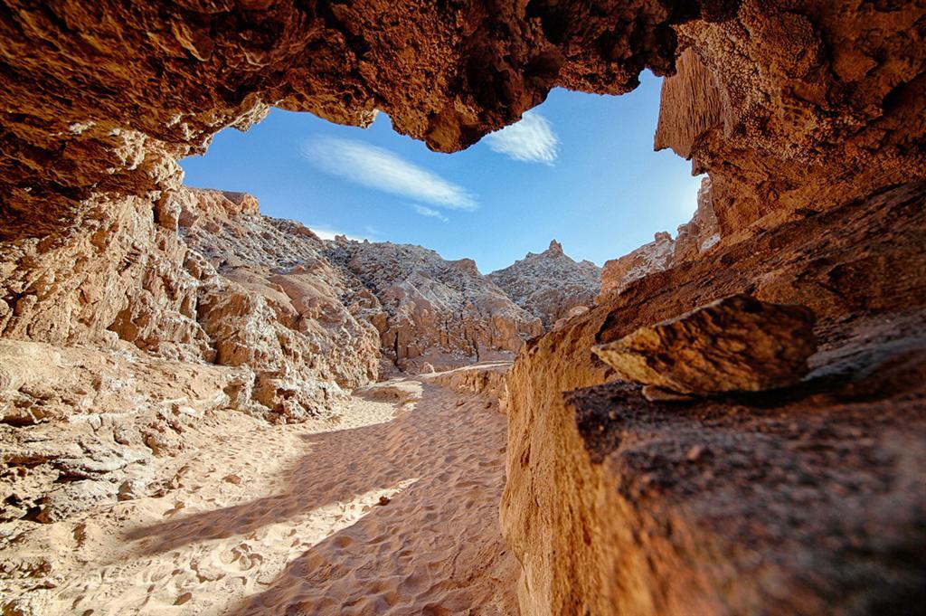 Самая сухая пустыня Земли