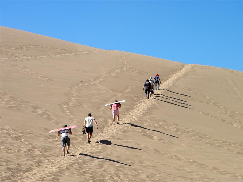 Самая сухая пустыня Земли