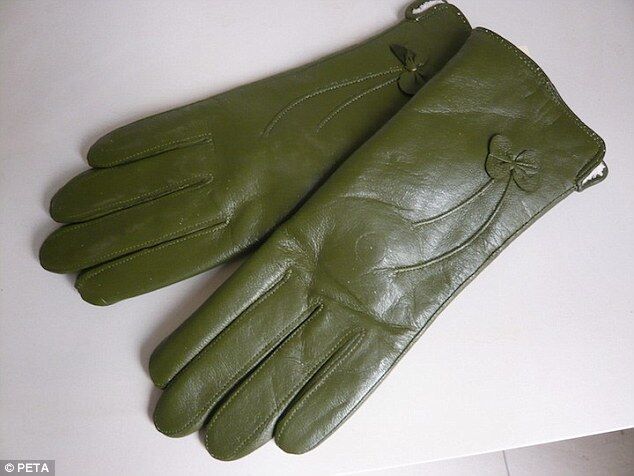 Дешевые китайские вещи в интернет-магазинах делают из кожи собак - PETA