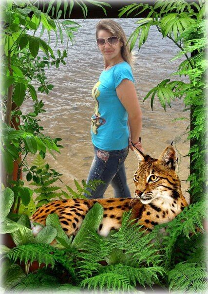 В деле о кровавом убийстве семьи на Прикарпатье появились новые детали