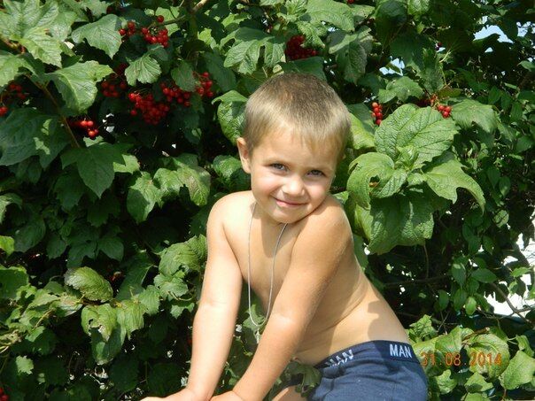 В деле о кровавом убийстве семьи на Прикарпатье появились новые детали