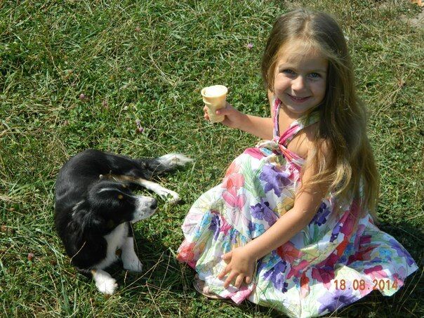 В деле о кровавом убийстве семьи на Прикарпатье появились новые детали