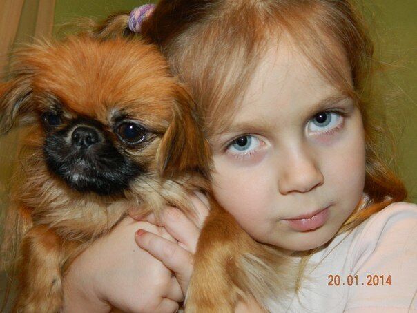 В деле о кровавом убийстве семьи на Прикарпатье появились новые детали