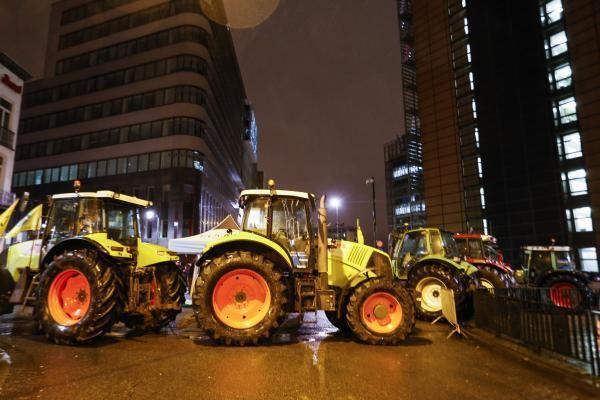 Протестующие в Брюсселе жгут костры и штурмуют здания: опубликованы фото