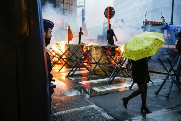 Протестующие в Брюсселе жгут костры и штурмуют здания: опубликованы фото