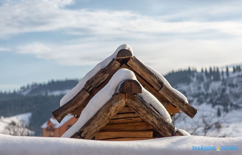 Стартовал проект, исследующий лучшие места для зимнего отдыха в Украине