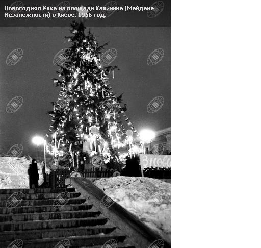 История киевских новогодних ёлок: опубликованы фото