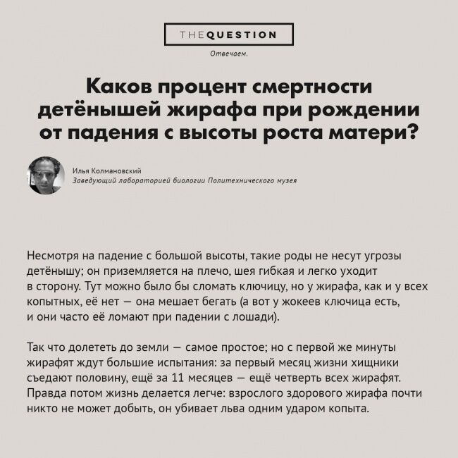 Почти научные вопросы, на которые есть вполне разумные ответы