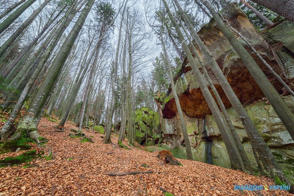 Буковинская Вижниця – село, где начинаются Карпаты