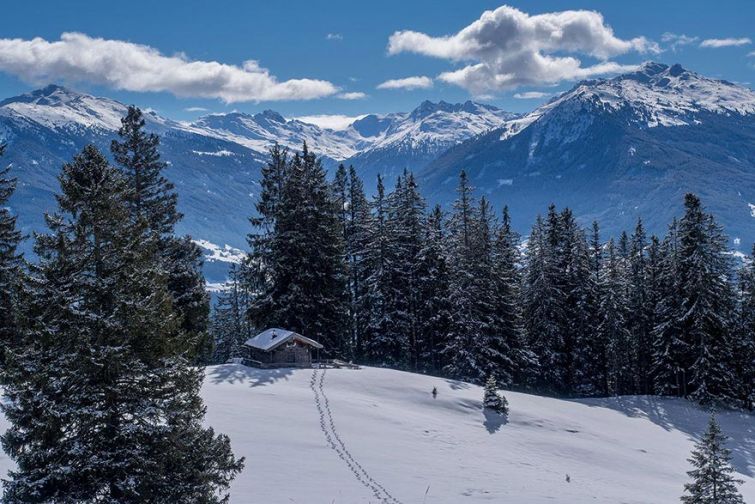 25 одиноких домов среди волшебной красоты зимних пейзажей