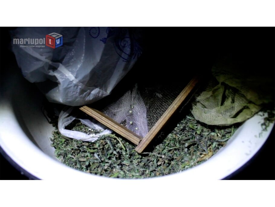Милиция, Нацгвардия и добровольцы зачистили Мариуполь от наркопритонов: видео