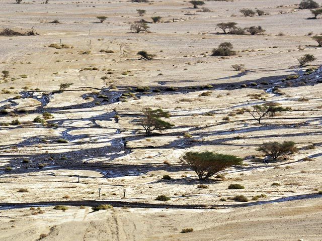 Экологическая катастрофа в Израиле: миллионы литров нефти затопили 100 га земли