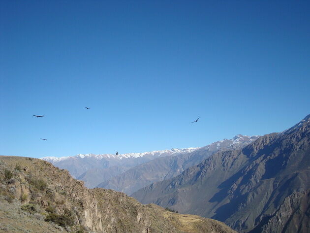 Самый глубокий каньон в мире, где обитают гигантские птицы