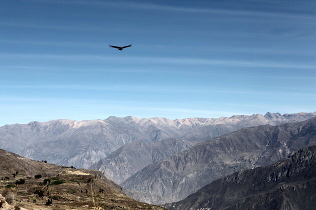 Самый глубокий каньон в мире, где обитают гигантские птицы
