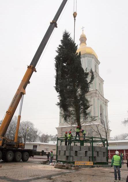 В Киеве начали устанавливать новогоднюю елку: опубликованы фото 